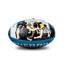 Sherrin AFL  All Surface Synthetic Song Size 2 - Port Adelaide
