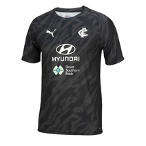 Carlton Blues AFL PUMA Mens Training Tee | Navy