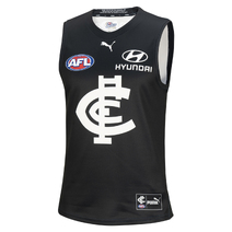 Carlton Blues PUMA Youth Home Guernsey | Navy