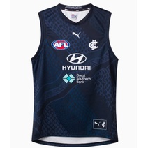 Carlton Blues PUMA Mens Training Guernsey