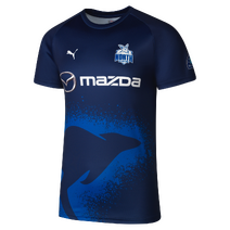North Melbourne Kangaroos PUMA AFL Mens Training Tee | Blue