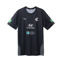 Carlton Blues AFL 2026 PUMA Mens Training Tee | Navy