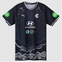 Carlton Blues 2025 PUMA Mens Training Tee
