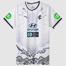 Carlton Blues 2025 PUMA Mens Training Tee - White