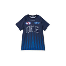 Geelong Cats AFL COTTON-ON Mens Run Out Tee