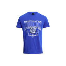 Canterbury Bulldogs NRL Bleacher Athletic Adults Scroll Tee | Blue