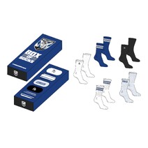 Canterbury Bulldogs NRL Adults Everyday Socks Box Set - 5 Pair | OS