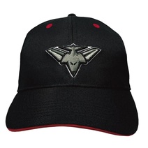 Essendon Bombers AFL Adults 3D Logo Cap