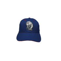 Western Bulldogs AFL Adults 3D Logo Cap