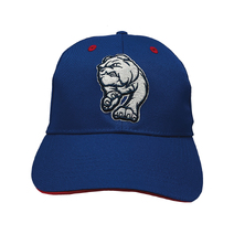 Western Bulldogs AFL Youth 3D Logo Cap