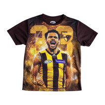 Hawthorn Hawks AFL RIOLI Youth Player Tee