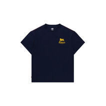 Brisbane Lions AFL Mens Printed Core Tee