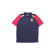 Brisbane Lions AFL Sublimated Performance Polo