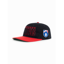 Essendon Bombers AFL Adults Throwback Deadstock Cap