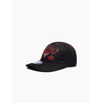 Essendon Bombers AFL Youth Banner Cap