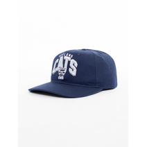 Geelong Cats AFL Arch Wordmark Deadstock Cap