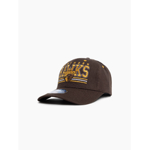 Hawthron Hawks AFL Youth Wordmark Low Pro Cap | Brown