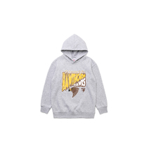 Hawthorn Hawks AFL Kids Footy Hoody | Grey