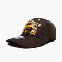 Hawthorn Hawks AFL Youth Banner Cap