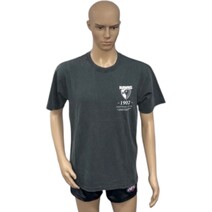 Hawthorn Hawks AFL Mens Acid Wash Tee | Ash