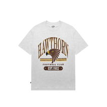 Hawthorn Hawks AFL Adults Vintage Arch Graphic Tee