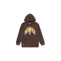 Hawthorn Hawks AFL Youth Team Crest Hoody