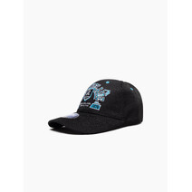 Port Adelaide Power AFL Youth Banner  Cap