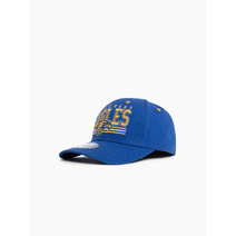 West Coast Eagles AFL Youth Wordmark Low Pro Cap | Blue