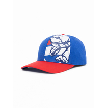 Western Bulldogs AFL Youth Big LG Low Pro Cap
