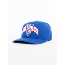 Western Bulldogs AFL Arch Wordmark Deadstock Cap