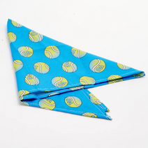 AO 2025 Pet Bandana