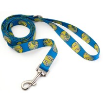 AO 2025 Ball Print Pet Lead