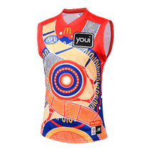 Brisbane Lions 2025 AFL NEW BALANCE Mens Indigenous Away Guernsey
