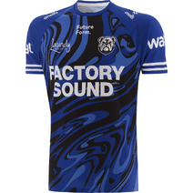 Canterbury Bulldogs NRL 2026 O'Neills Mens Training Tee | Blue