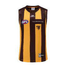 Hawthorn Hawks ISC Mens Home Guernsey