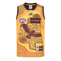 Hawthorn Hawks ISC AFL Youth Indigenous Guernsey | Gold