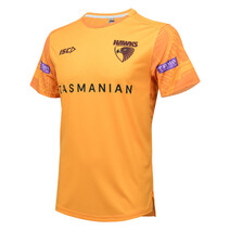 Hawthorn Hawks ISC Mens Training Tee - Gold