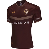 Hawthorn Hawks 2025  AFL Mens Training Tee Brown | Almond