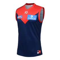 Melbourne Demons AFL NEW BALANCE Youth Home Guernsey | Navy