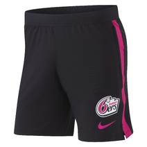Sydney Sixers BBL NIKE Mens Training Shorts