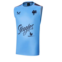 Sydney Roosters CASTORE NRL Mens Training Singlet | Blue